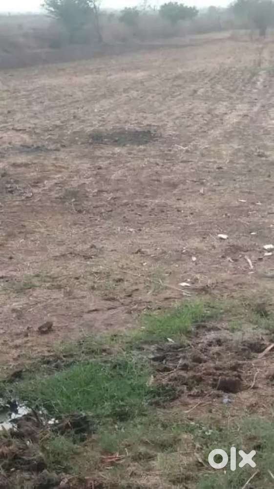 11 bigha ek jaisa chakr hai badiya ek dam