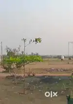 Plot for sale in Karamanikupam near Vellagate. Back Vazga Valamudan.