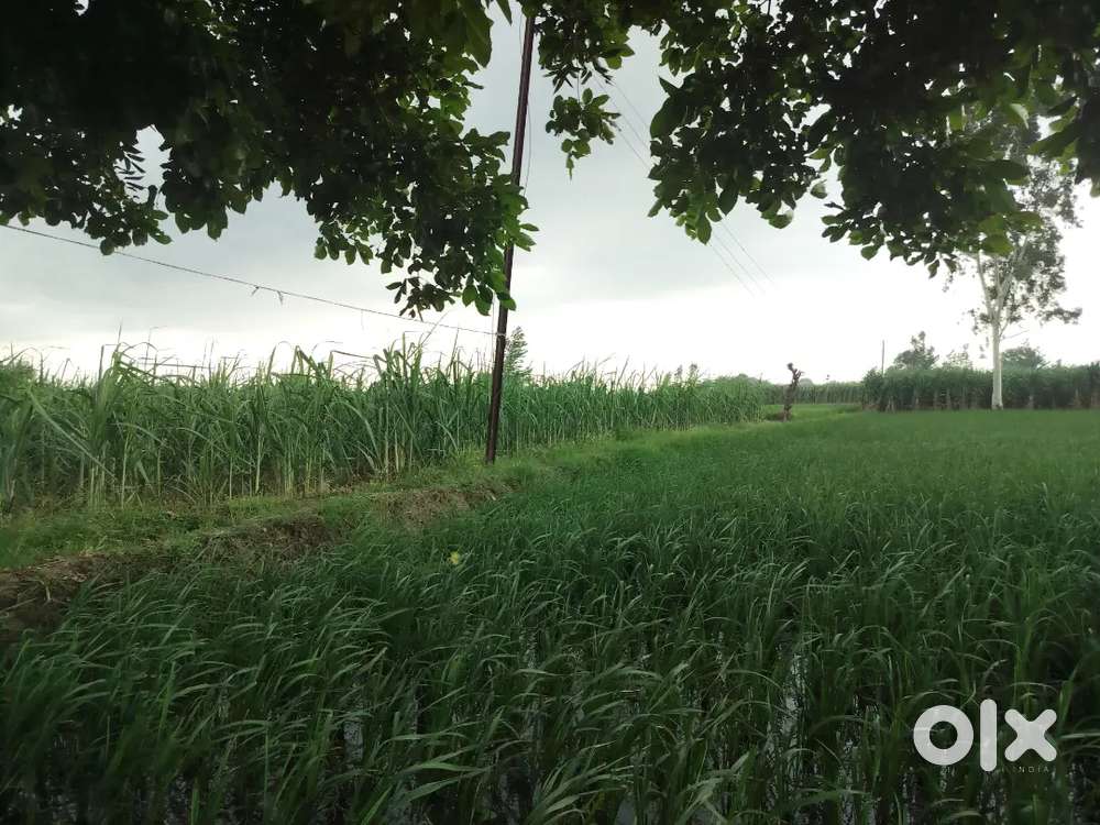 Land for sale in Baghpat