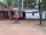 3 BHK Independent house for rent