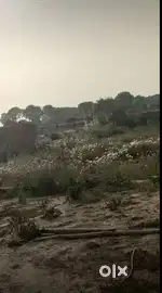 commerical plot
