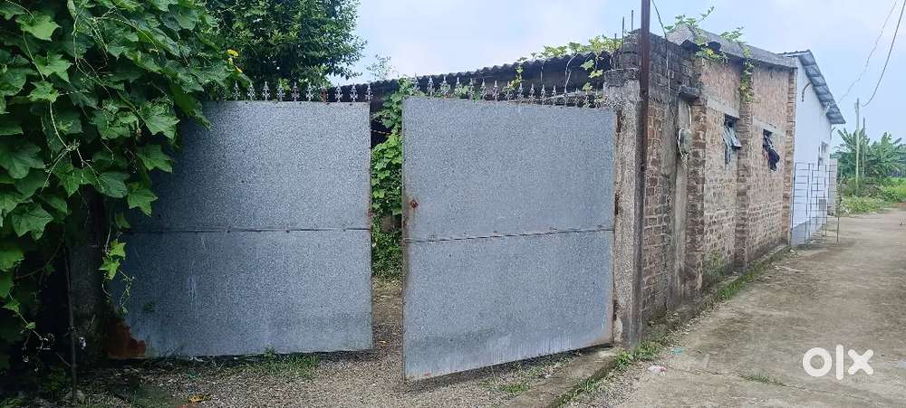 মোবাইল-৭০০১৬৪২০৩৩  ,,,৫ কাটা উঁচু জমি  ,৭ ফুট উচ্চতা পাঁচিল দেওয়া ,
