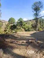 Plots available for sale in solan 10 lakh /Biswa driven