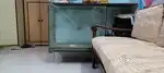 Big fish tank