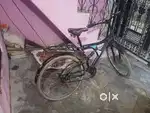 Hippo active bicycle