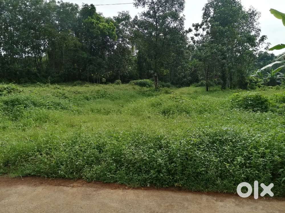 10 സെൻറ് വസ്തു വീട് വെക്കാൻ അനുയോജ്യം വെള്ളം കയറാത്തത്