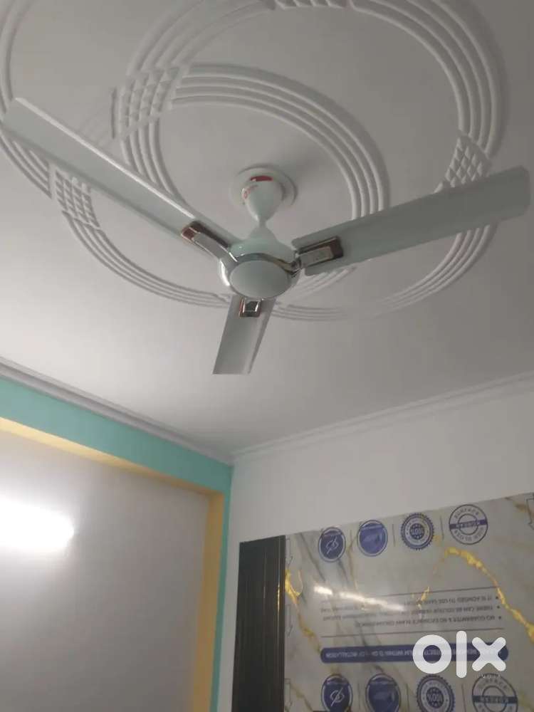 To-Let Fully Furnished 2BHK Builder Flat in Mayur Vihar 1