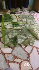 Bird house