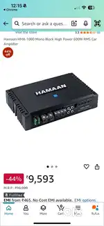 New 1000rms hamaan mono amplifer