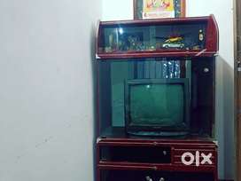 Tv showcase wooden