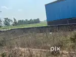 100 gaj gajraula nh09