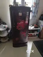 Fridge4 years old