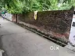 Good for who looking plot in near market