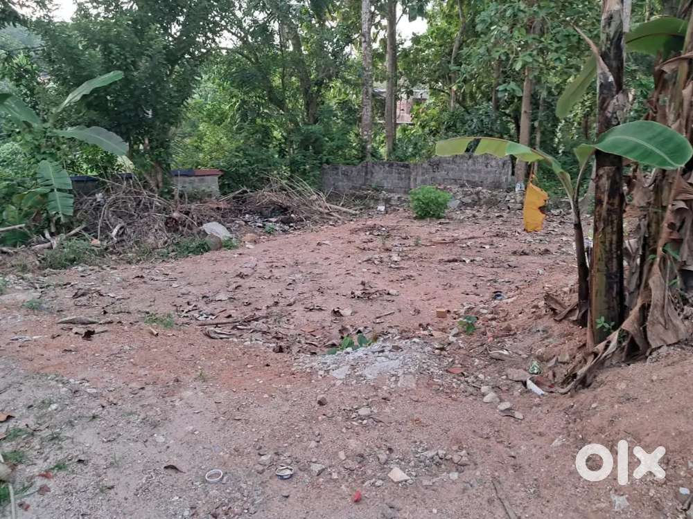 10 cent pothencode vavaraambalam