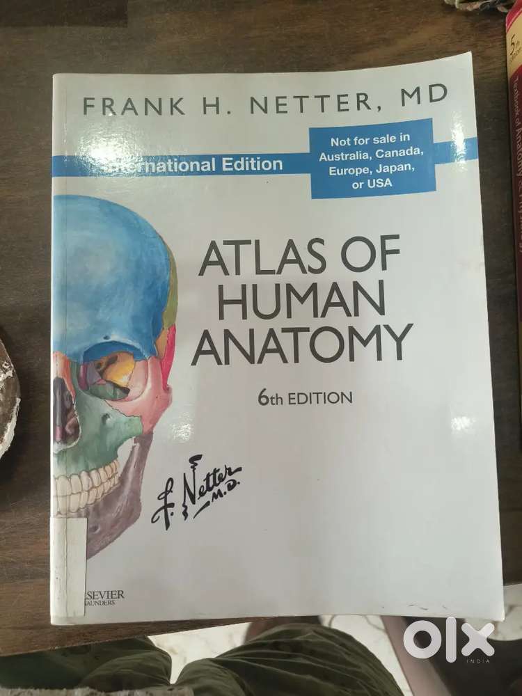 Anatomy and physiology