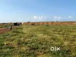 Commercial plot