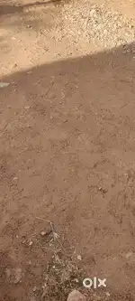 10 cent land for sale