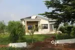 NATP LAND ONLY 570