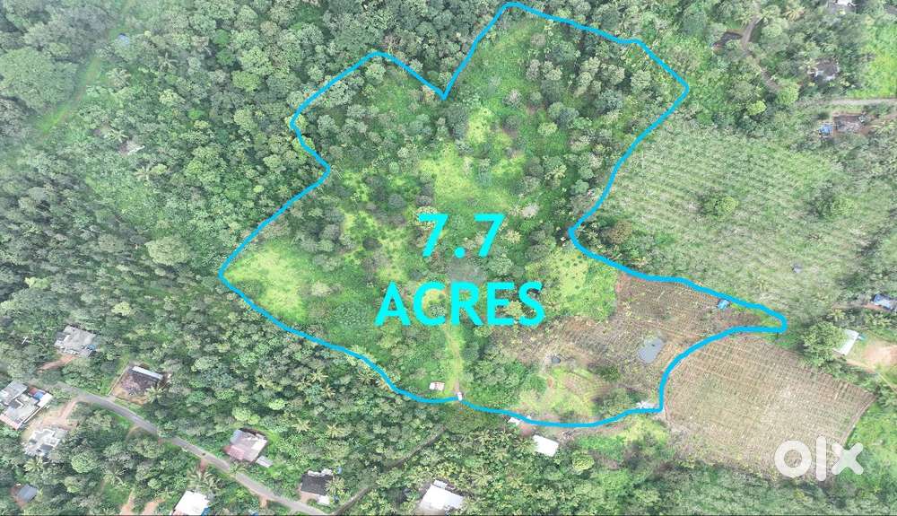 7.7 Acres Land for Sale at Thrissilery – ₹18 Lakhs per Acre