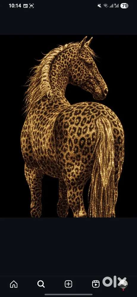 2bhk for 85k rent mazgaon circle