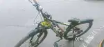 Roadeo 29 t Inch mountain cycle