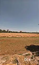 Big and peaceful house with 1.5 acer land