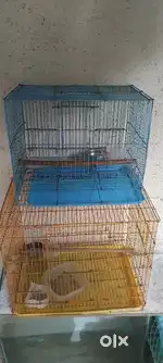 Bird cages