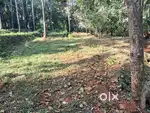 മുണ്ടുപറമ്പിനു സമീപം 3, 5, 7 സെന്റ് വീതം വില്പനക്ക്
