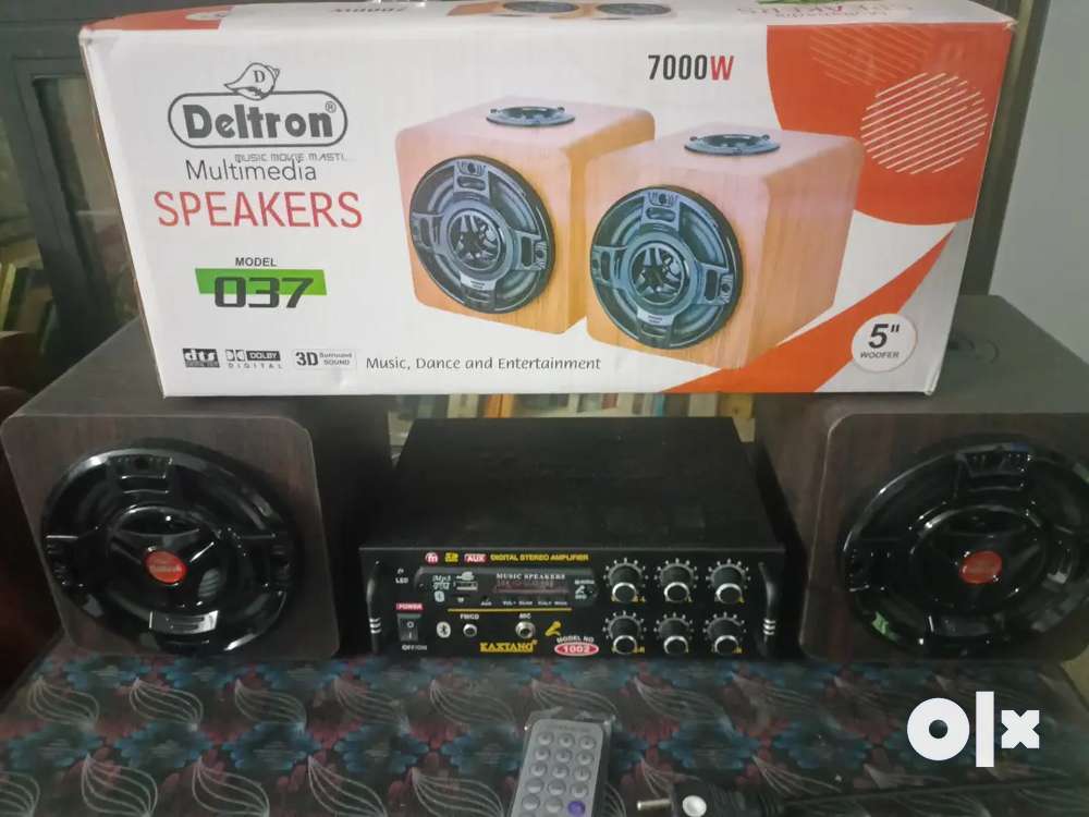 Speaker with amplifier