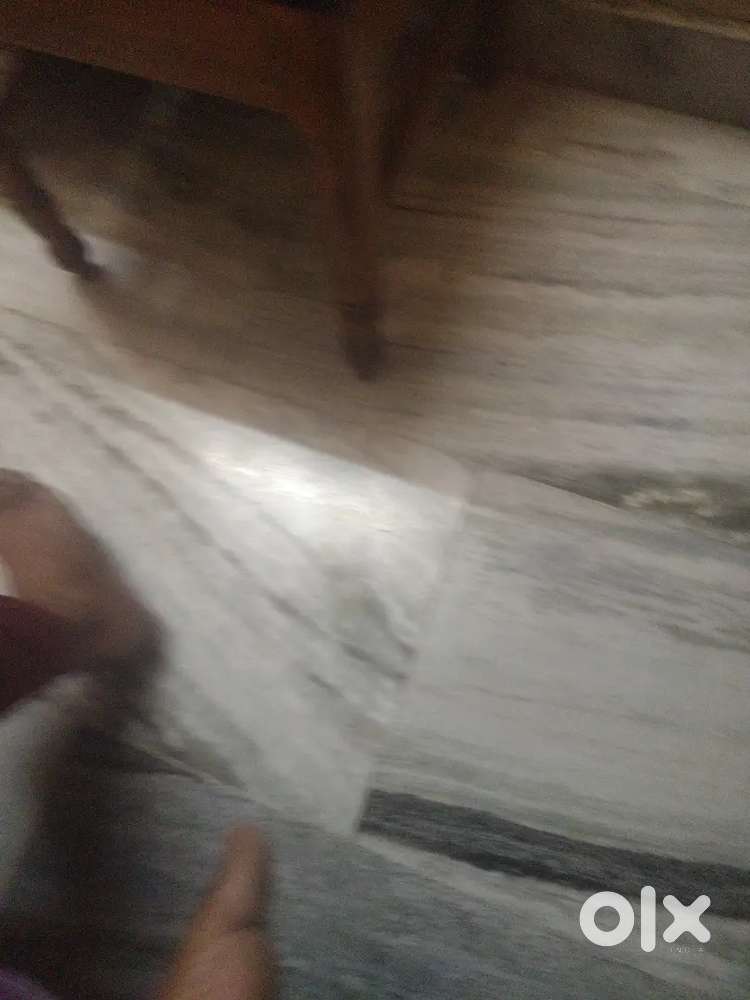 Warangal seling-privet-site-at-warangal-j