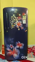 Lg fridge 3yr old