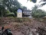 24 cent land sale