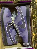NIKE SB dunks with box