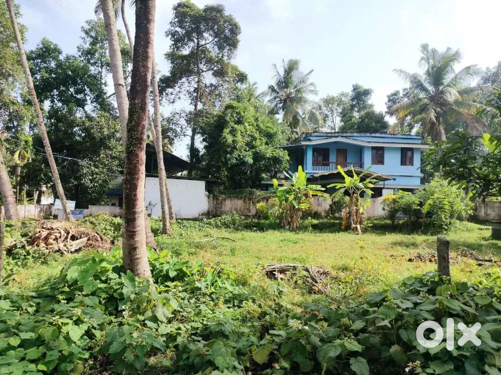 House plot sale in vaduthala jn