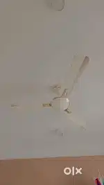 2 Fan for sale (1 crompton and 1 polycab)