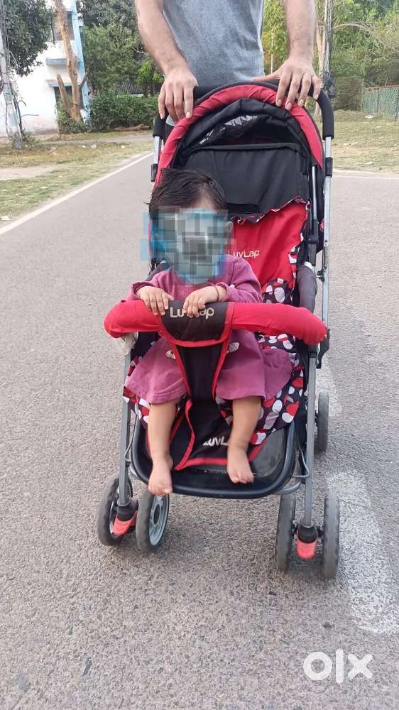 Stroller Luvlap & baby waker
