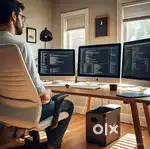 Software Developer