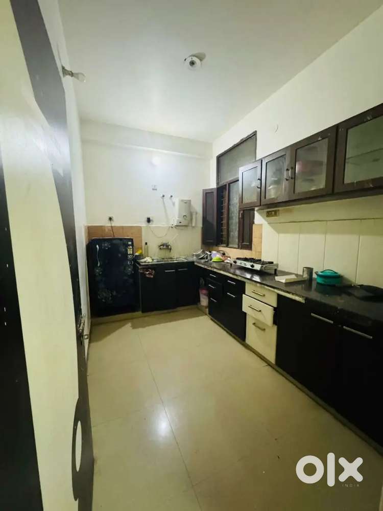 Bachelors allow Independence flat