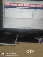 Dominos pizza