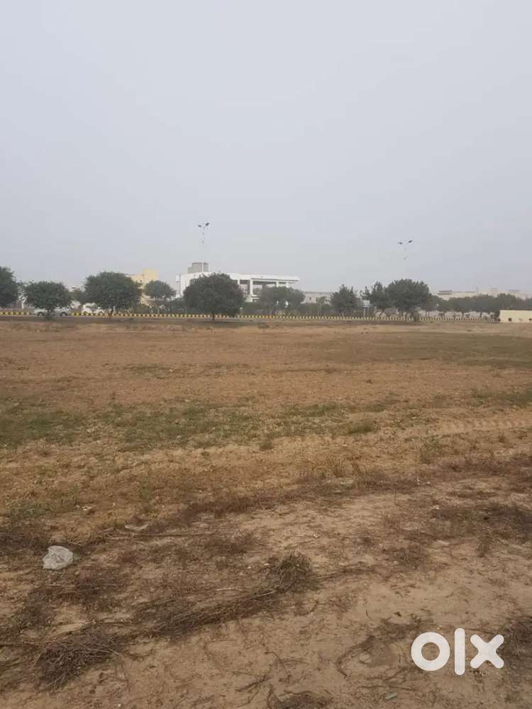 Plot for sale ubhawala road te h