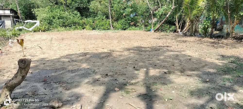 10 cent plot for sale.