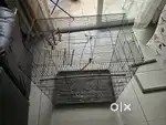 Bird cage for sale