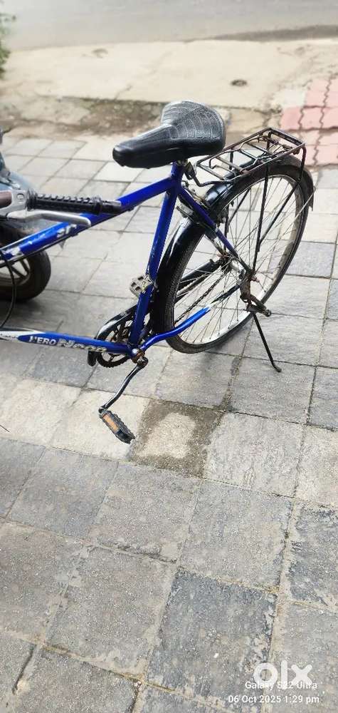 Bay  Cycle