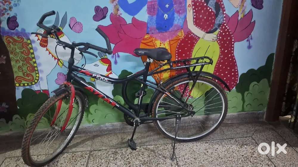 Brand New bicycle