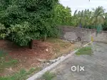 1 ground two plots sales kanathur