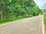 Bus റൂട്ടിൽ  സ്ഥലം വില്പനക്ക്