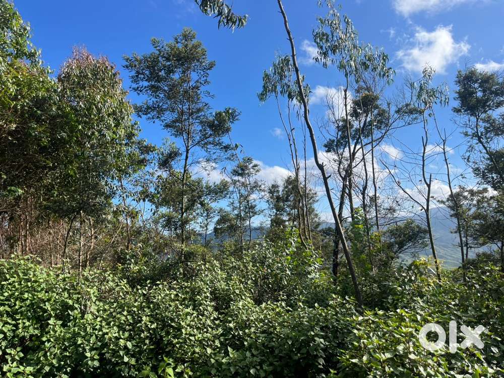 Real estate  and cotruction