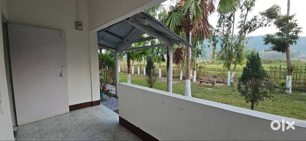 Wanted 2 cook for a restaurant and resort at Kaziranga
