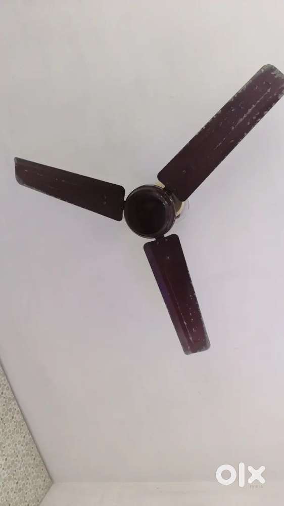Orient EPSON fast Ceiling Fan