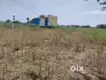 Excellent plot, house in Srivilliputhur and near Sivakasi